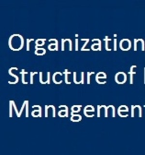 Organization Structure of Project Management