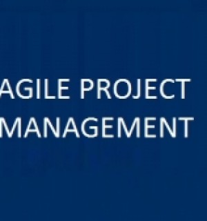 What is Agile Project Management