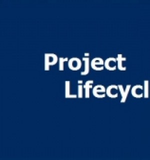 Project Life cycle